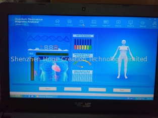 Trung Quốc Romanian Language Software Version 44 Reports Quantum Body analyzer Silver Color Box nhà cung cấp