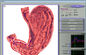 Chụp cộng hưởng từ lượng tử 3D Nls Health Analyzer, Win XP Win 7 nhà cung cấp