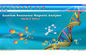 Quantum Body Health Anallzer 34 Báo cáo nhà cung cấp
