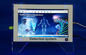 Màn hình cảm ứng lượng tử 14 inch Touch Screen Quantum Body Analyzer Windows XP / Win 7 nhà cung cấp