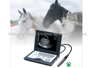 Trung Quốc CLS5800 laptop Veterinary Ultrasound Scanner Full Digital Ultrasonic Diagnostic System nhà cung cấp