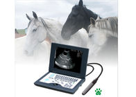 Trung Quốc CLS5800 laptop Veterinary Ultrasound Scanner Full Digital Ultrasonic Diagnostic System nhà máy sản xuất